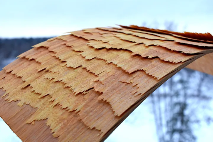 Overlapping wood shingles on a curved surface